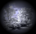 /album/fenykepgaleria/a19-png/